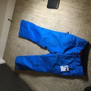 Volcom ski pants
